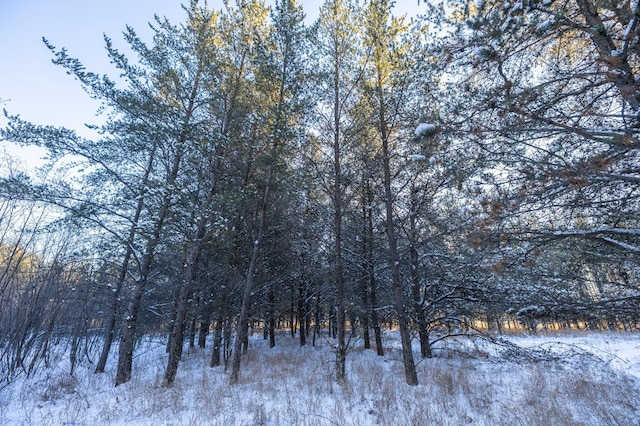 23790 360th St, Huntersville Twp, MN 56464 - view of nature