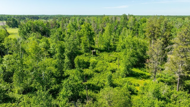 23790 360th St, Huntersville Twp, MN 56464 - photo 54