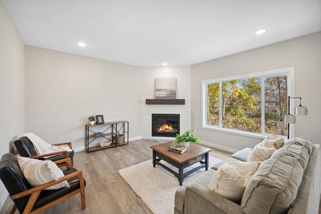 living room featuring a fireplace and light hardwood / wood-style floors