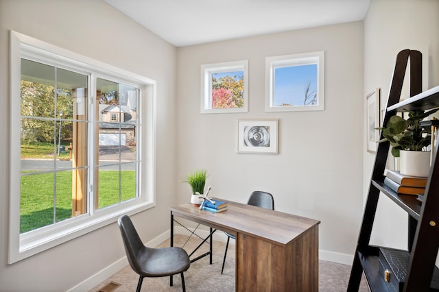 office area featuring carpet floors