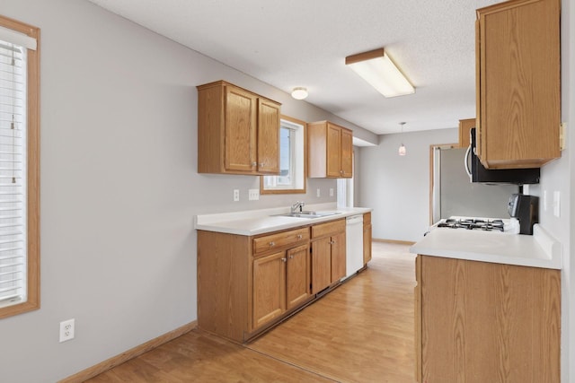 kitchen with sink, light hardwood / wood-style floors, pendant lighting, and white dishwasher