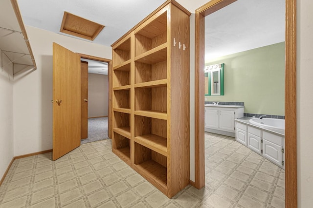 spacious closet with sink