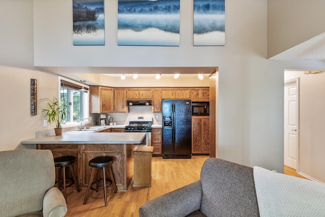 16164 Lakeside Ave SE, Prior Lake, MN 55372 - kitchen with black appliances, a sink, light wood-style flooring, a peninsula, and light countertops