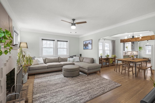 living room featuring ornamental molding and a healthy amount of sunlight