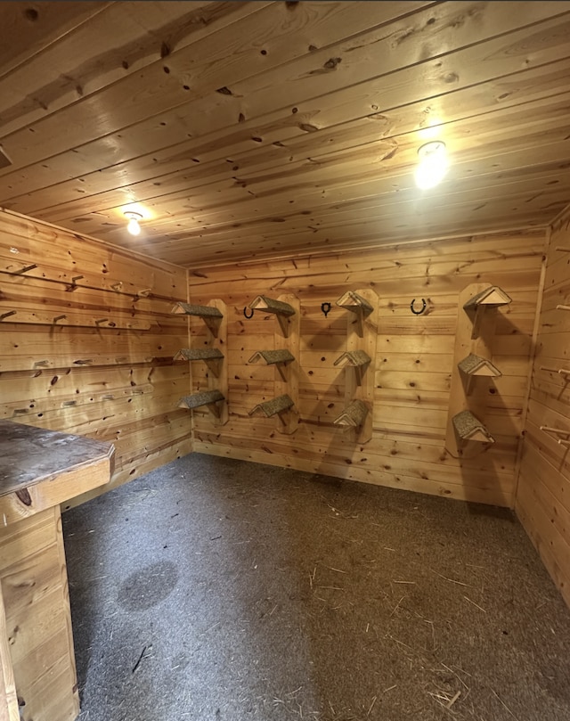 2021 Main St S, Pine City Twp, MN 55063 - bonus room with wood ceiling and wood walls