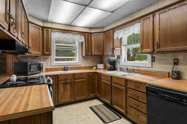 2021 Main St S, Pine City Twp, MN 55063 - kitchen with black dishwasher, butcher block counters, and plenty of natural light
