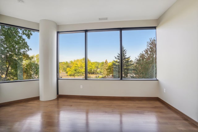 empty room with plenty of natural light and light hardwood / wood-style flooring