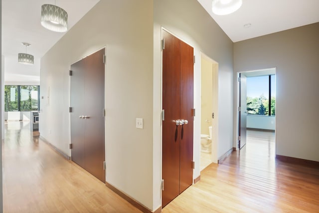 corridor featuring plenty of natural light and light hardwood / wood-style floors