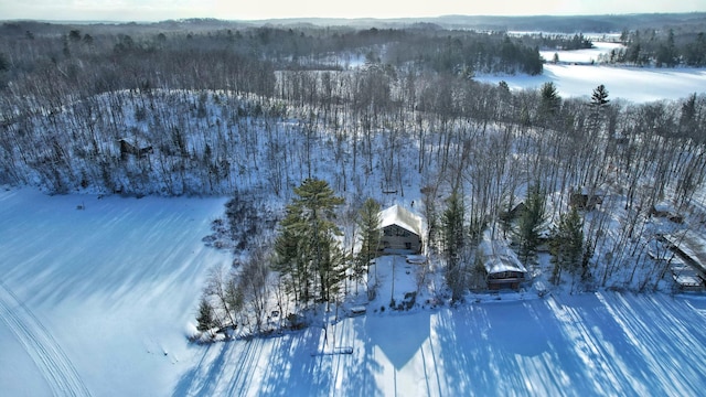 view of snowy aerial view