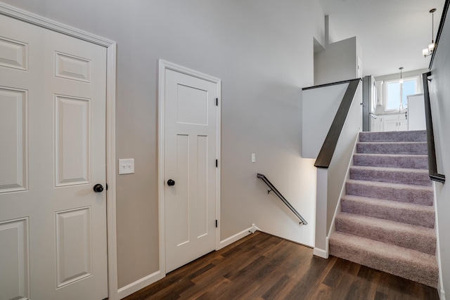 stairs featuring hardwood / wood-style flooring