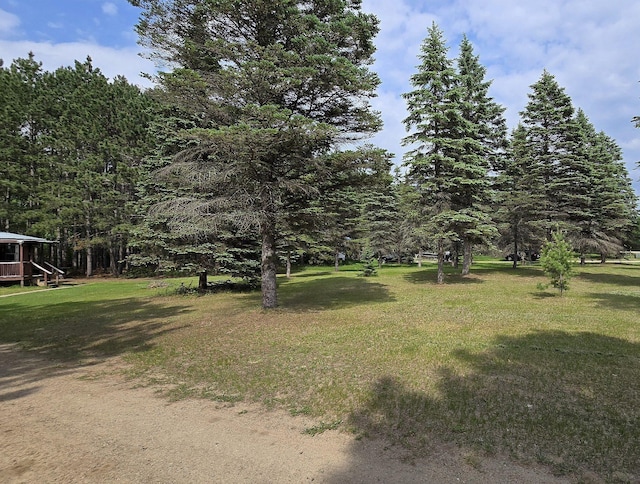 31314 500th St, Cass Lake, MN 56633 - view of green lawn with a view of trees