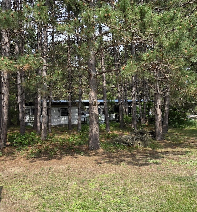 31314 500th St, Cass Lake, MN 56633 - view of yard