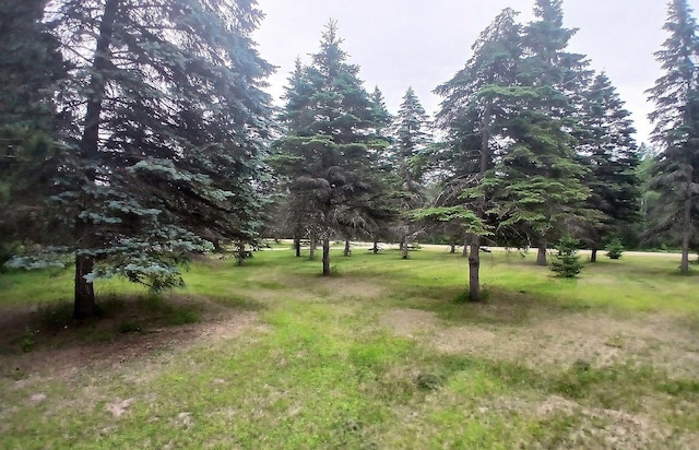 31314 500th St, Cass Lake, MN 56633 - view of yard