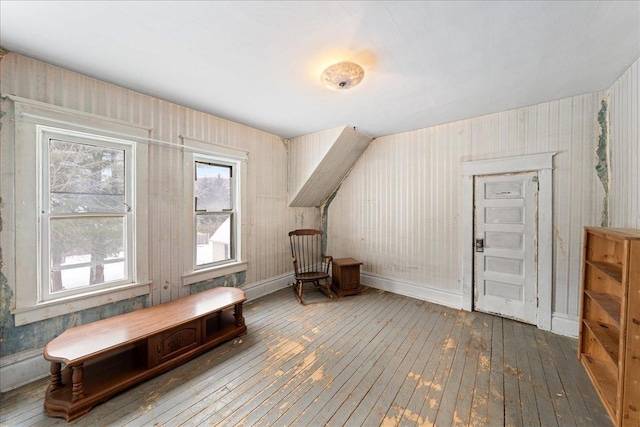 bonus room featuring wood-type flooring