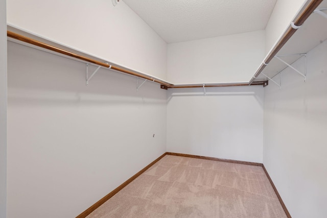 walk in closet with carpet floors