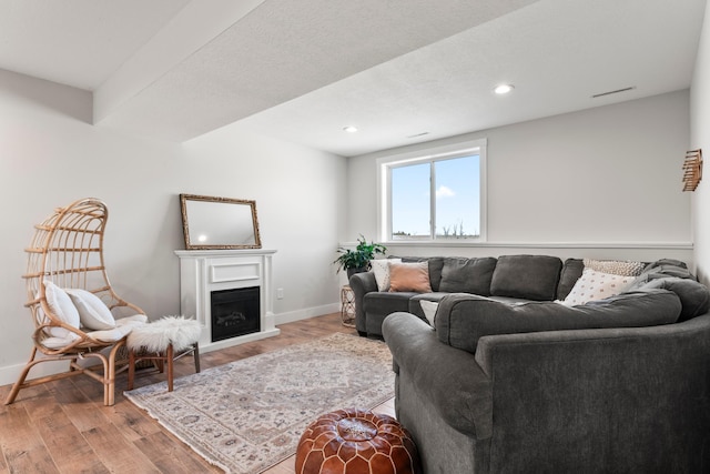 living room featuring light hardwood / wood-style flooring