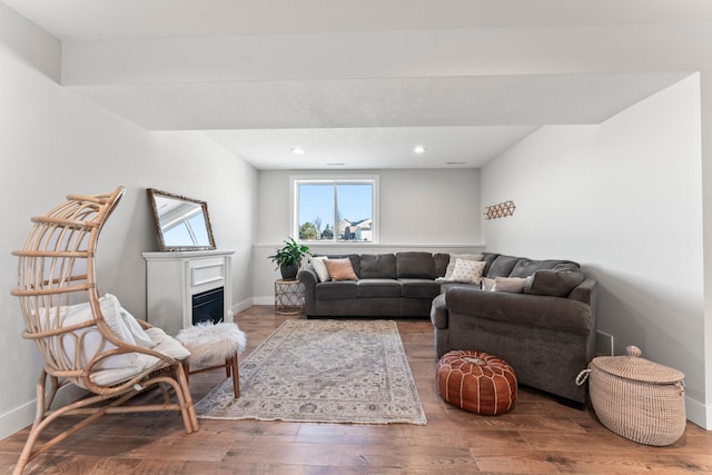 living room featuring wood-type flooring