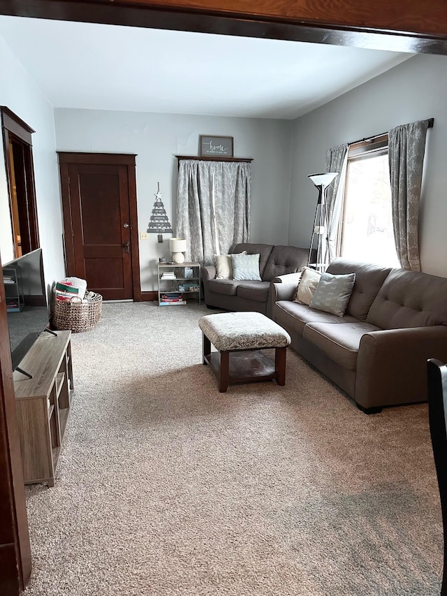 living room with carpet flooring