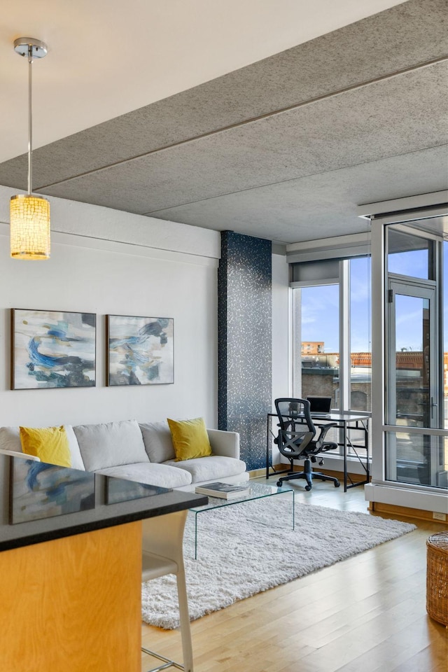 living room featuring floor to ceiling windows and hardwood / wood-style floors