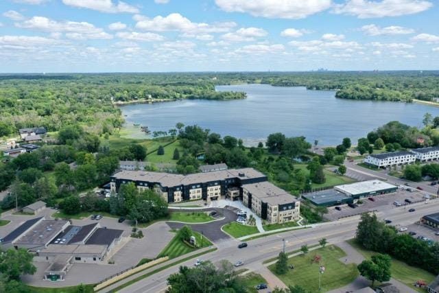 bird's eye view with a water view