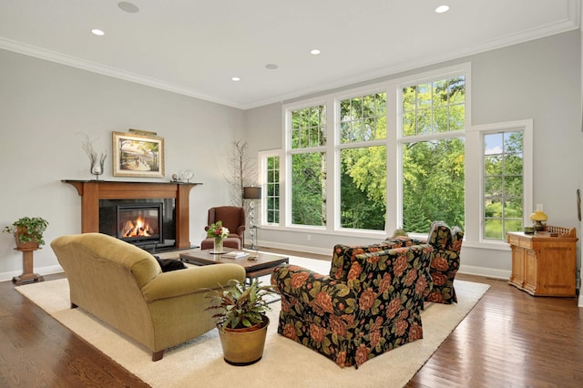 living room featuring crown molding and hardwood / wood-style flooring