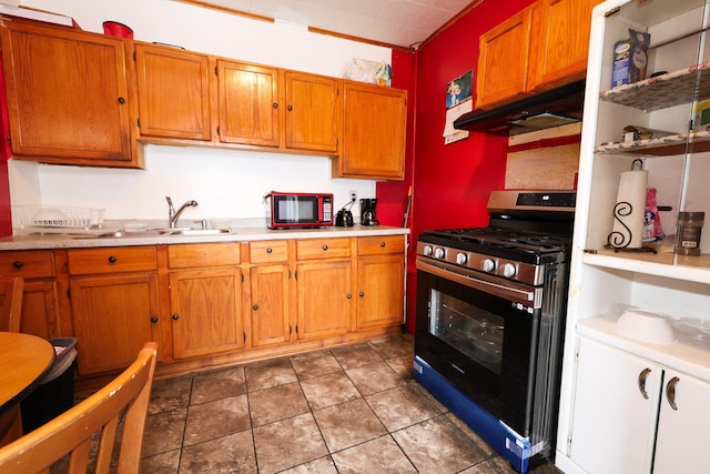 kitchen featuring stainless steel range with gas stovetop and sink