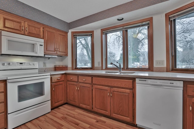 kitchen featuring light hardwood / wood-style floors, sink, and white appliances