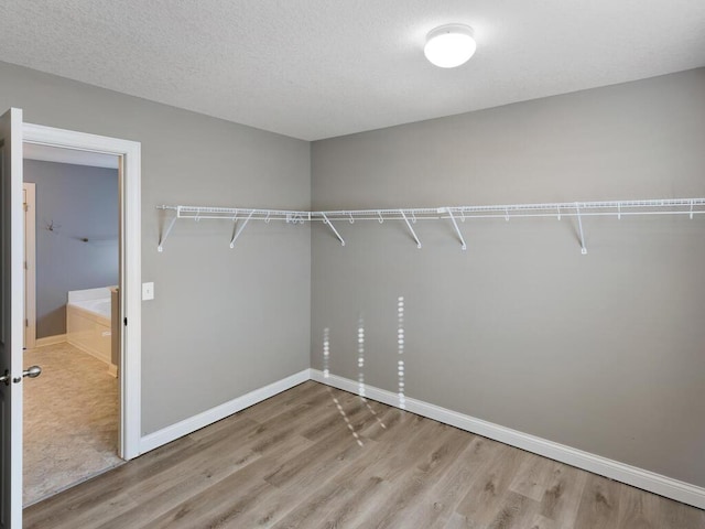 spacious closet featuring light wood-type flooring