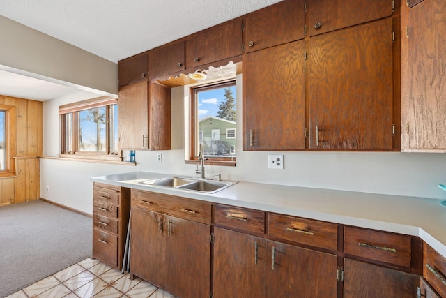 kitchen featuring sink, light carpet, and wood walls