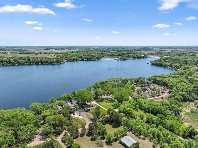 7364 Isaak Ave NW, Annandale, MN 55302 - aerial view of a large body of water and a heavily wooded area