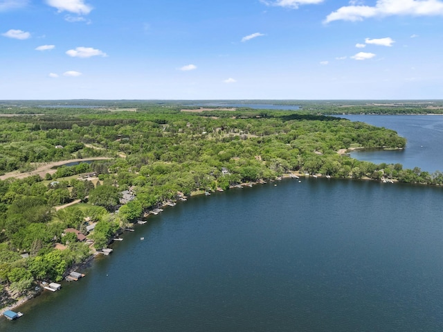 7364 Isaak Ave NW, Annandale, MN 55302 - drone / aerial view of a heavily wooded area and a nearby body of water