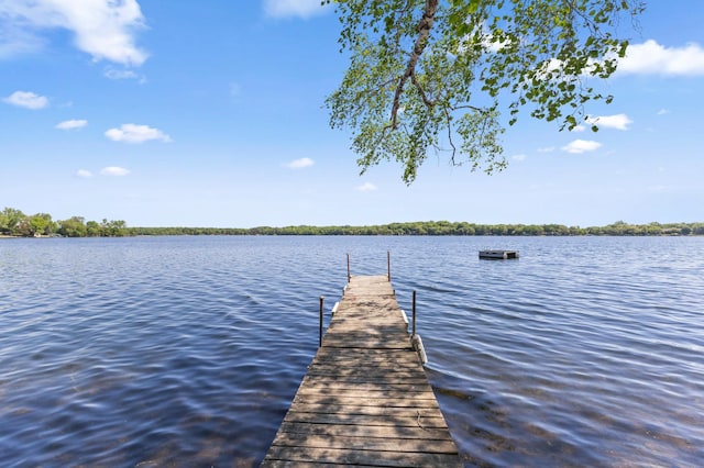 7364 Isaak Ave NW, Annandale, MN 55302 - dock featuring a water view