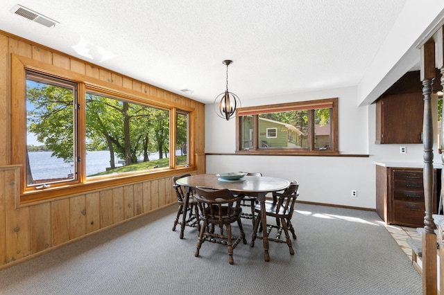 7364 Isaak Ave NW, Annandale, MN 55302 - dining area with wooden walls, healthy amount of natural light, a water view, baseboards, and a textured ceiling