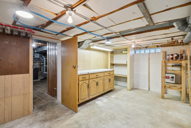 basement with wooden walls