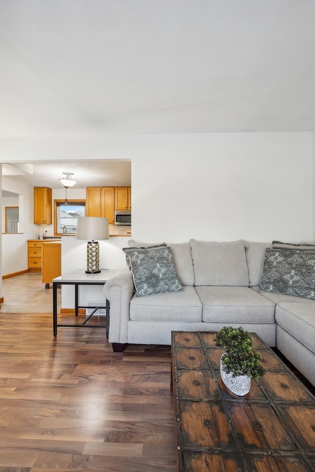 living room featuring wood-type flooring