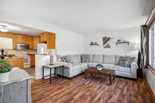 living room featuring dark wood-type flooring