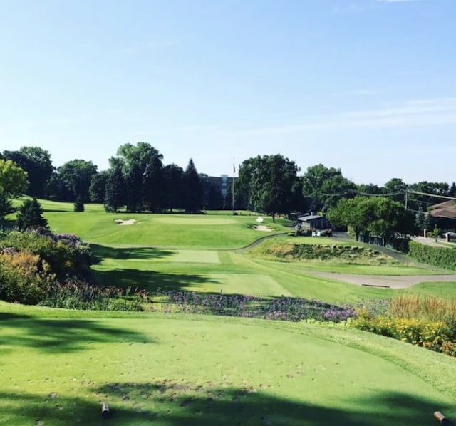 view of community with a lawn