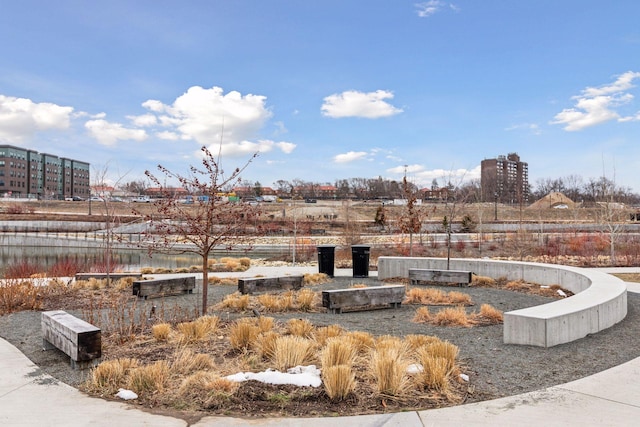 view of home's community with a garden