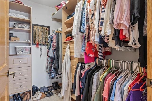 view of spacious closet