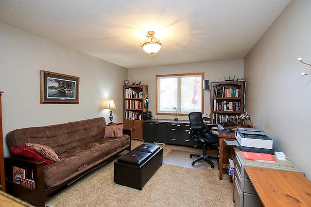 1406 Elsie Dr, Glencoe, MN 55336 - office area with light colored carpet