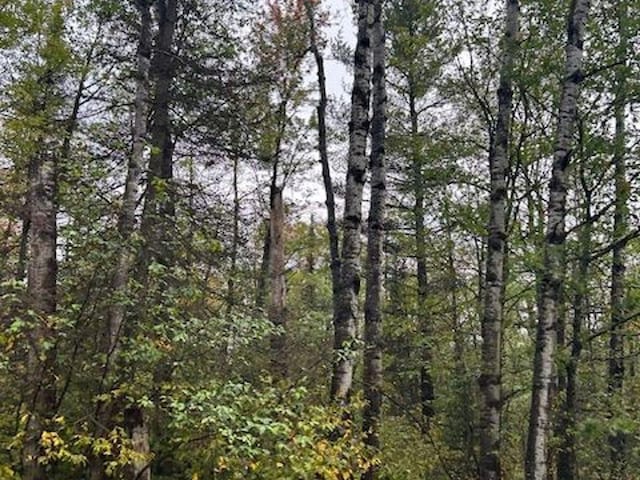 XX3X Port Wing Line Rd, Orienta Twp WI, 54865 land for sale