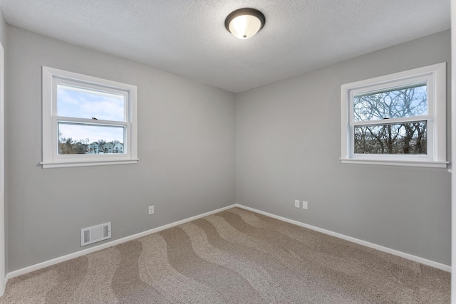 carpeted empty room featuring a wealth of natural light and a textured ceiling