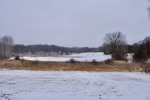 view of yard covered in snow