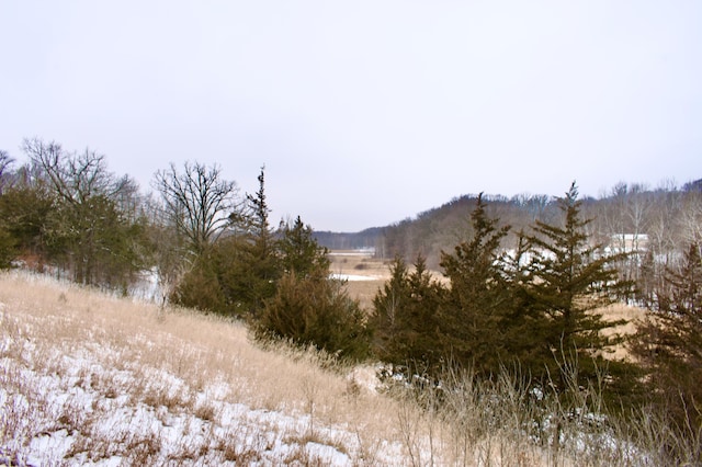 view of mountain feature