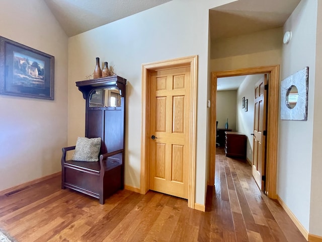 hallway featuring lofted ceiling and wood-type flooring