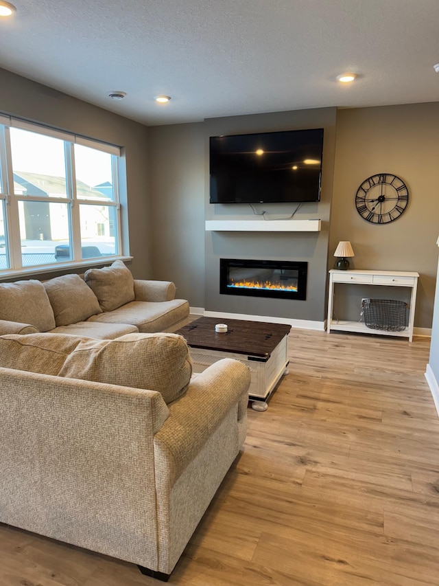 living room featuring light hardwood / wood-style floors