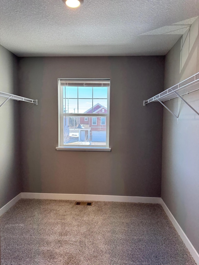 walk in closet featuring carpet