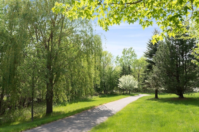 view of home's community with a lawn