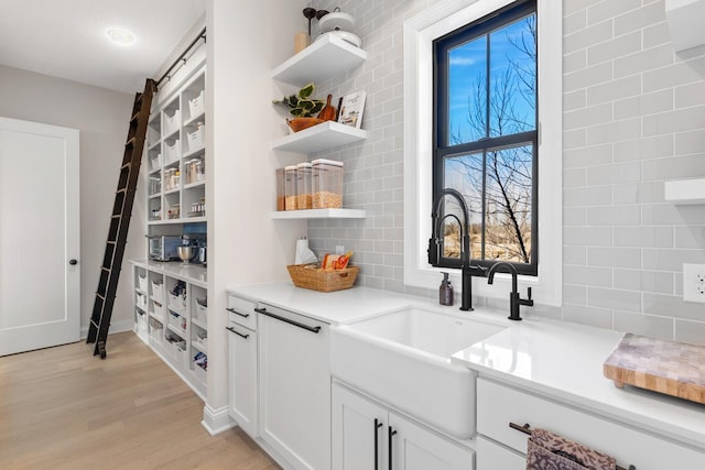 pantry featuring a sink