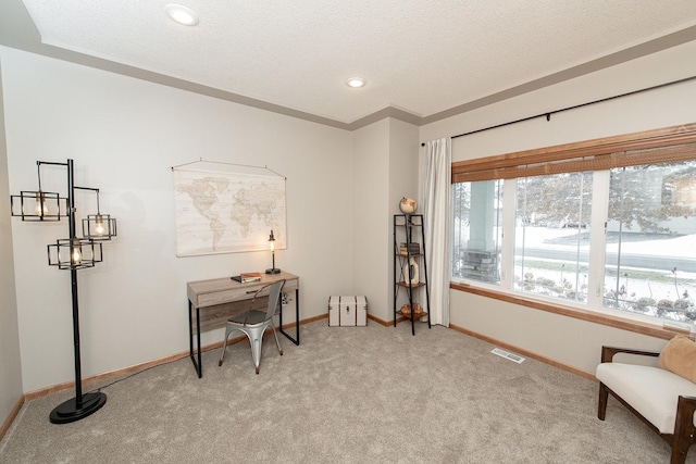 office space with light colored carpet and a textured ceiling